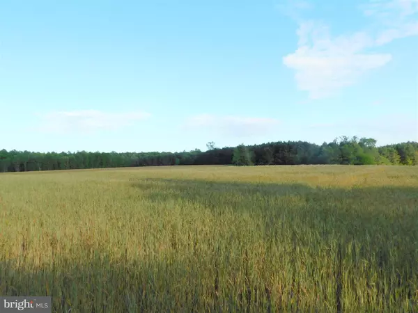 King George, VA 22485,JERSEY ROAD