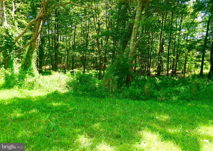 -LOT 14 FALCON VIEW DR, Capon Bridge, WV 26711