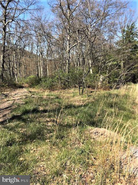 LOT 69 HELMICK ROCK RUN, Mathias, WV 26812