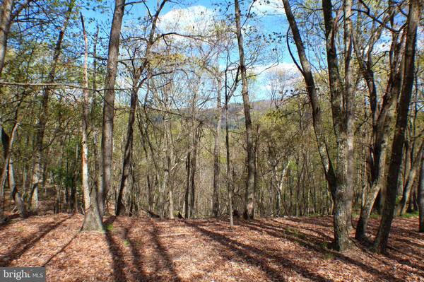 LOT 5 PYLOR WAY, Maysville, WV 26833