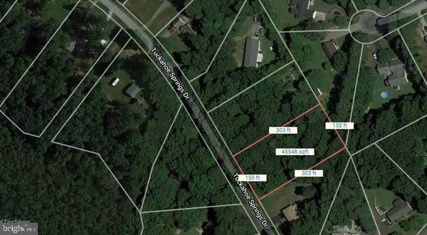 Denton, MD 21629,LOT 31 TUCKAHOE SPRINGS DR