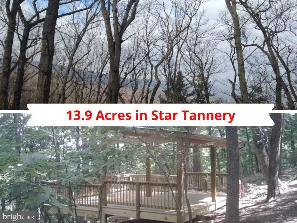 Star Tannery, VA 22654,PADDYS RUN RD