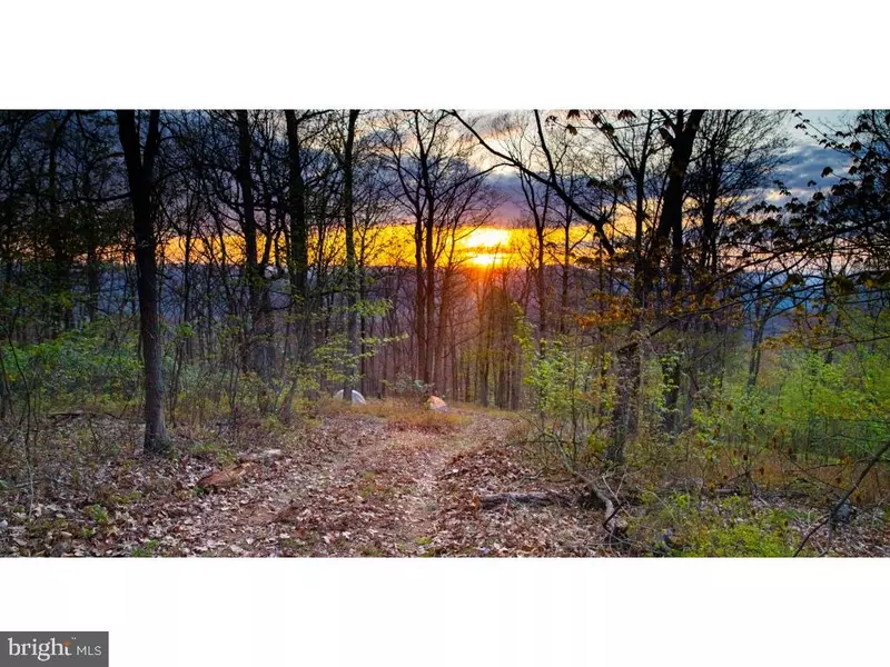 -LOT 331 NATHANIEL MOUNTAIN RD, Moorefield, WV 26836