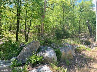 0 MOUNTAIN FALLS TRL, Winchester, VA 22602