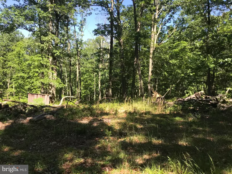 BROOKLYN WAY #LOT 13, Great Cacapon, WV 25422