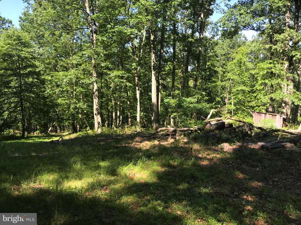 BROOKLYN WAY #LOT 14, Great Cacapon, WV 25422