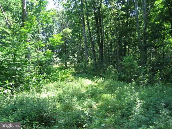 Berkeley Springs, WV 25411,SALEM VIEW LANE LOT 16