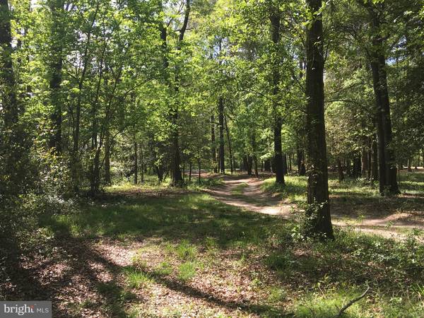 LOT 3A RIVERVIEW PARK DR, Pocomoke City, MD 21851