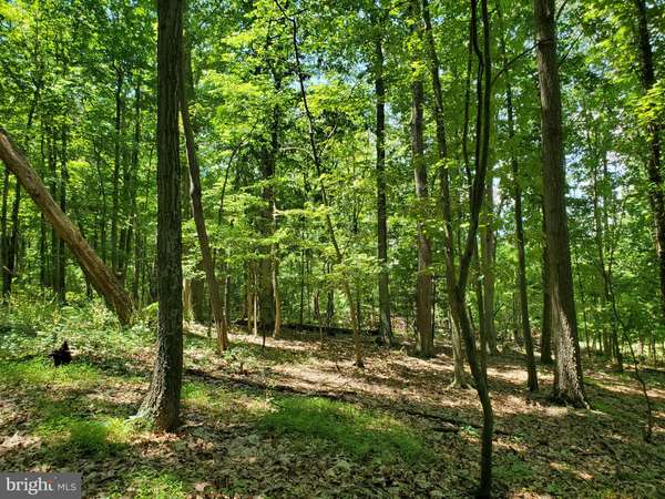 LOT #426 LINTON HILL RD, Duncannon, PA 17020