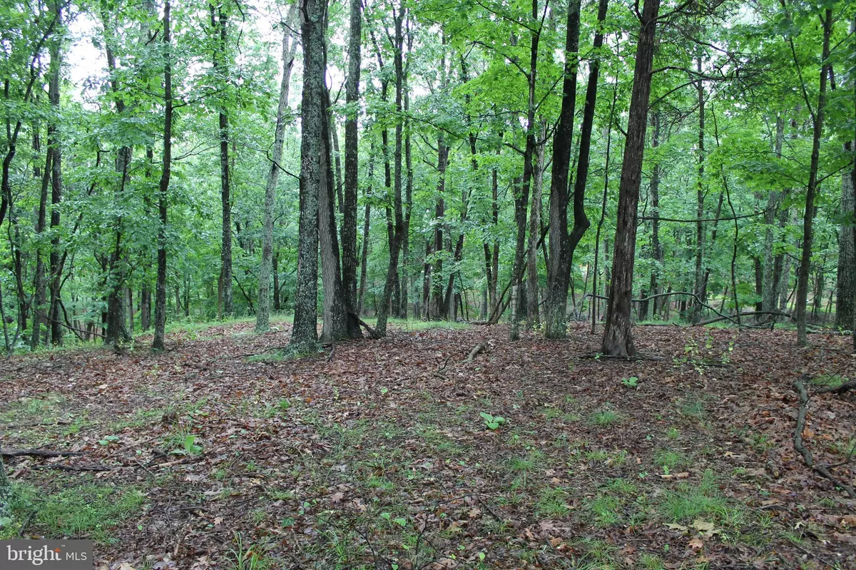 Paw Paw, WV 25434,LOT 82 CROSSINGS VIEW RD