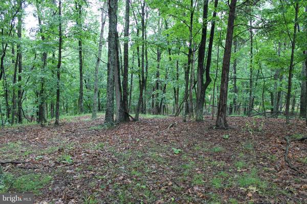 LOT 82 CROSSINGS VIEW RD, Paw Paw, WV 25434