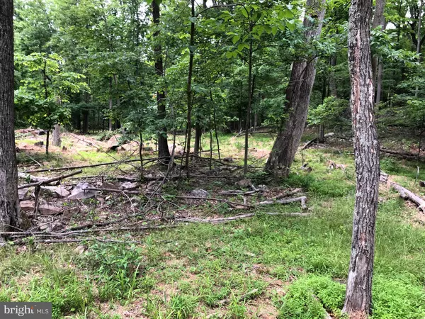 Hedgesville, WV 25427,LOT 35 MAVERICK TRAIL