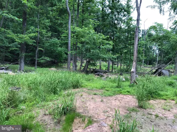 Hedgesville, WV 25427,LOT 35 MAVERICK TRAIL