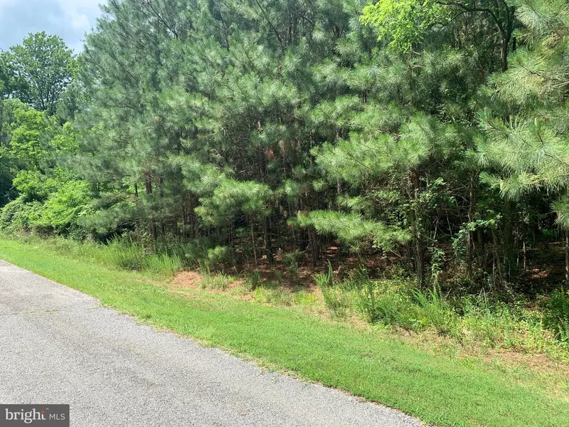 LOT 296 CINCINNATI PL, Mineral, VA 23117