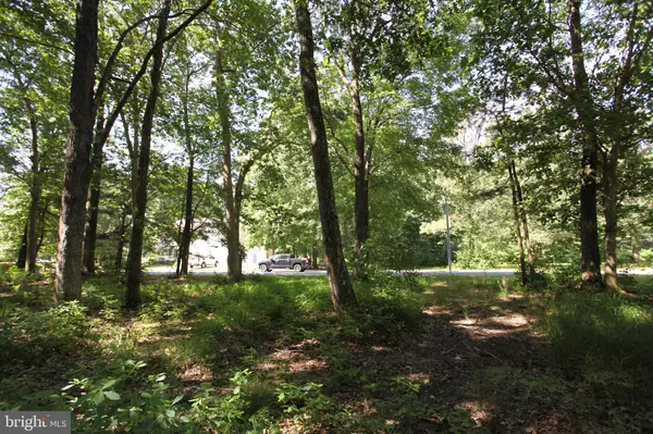 Pocomoke City, MD 21851,LOT 34 WHITE OAK LN