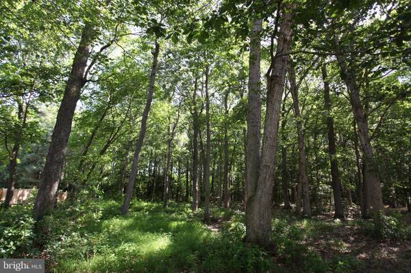 LOT 34 WHITE OAK LN, Pocomoke City, MD 21851