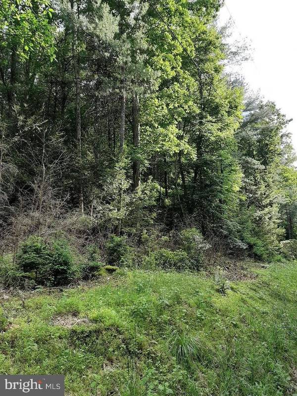 LOT # 28 RUPP RD, Elliottsburg, PA 17024