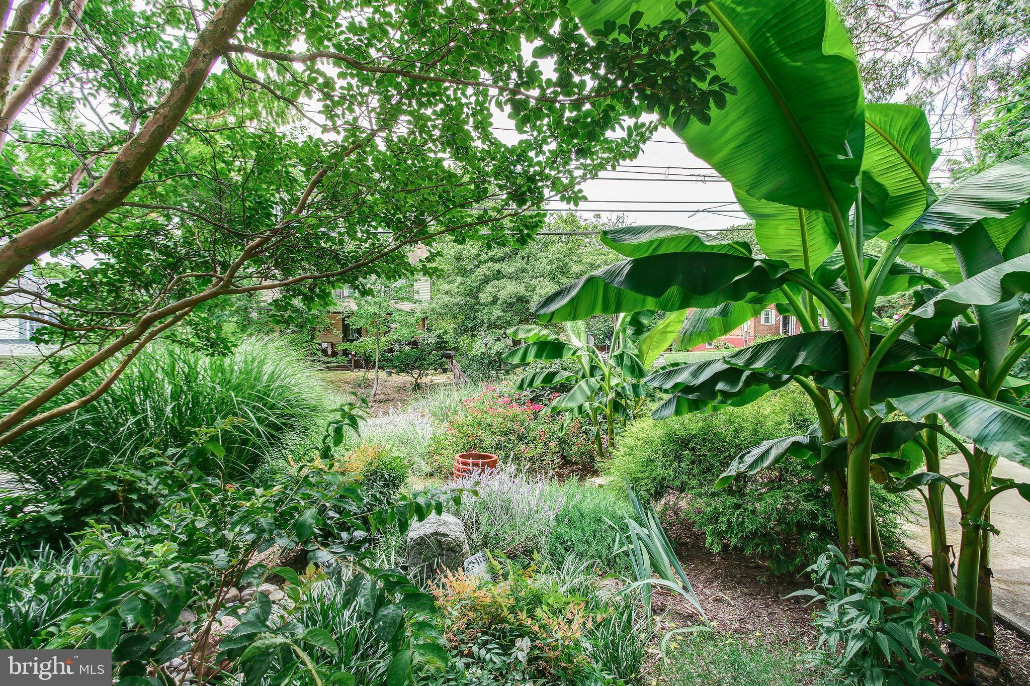 Takoma Park, MD 20912,6619 POPLAR AVE
