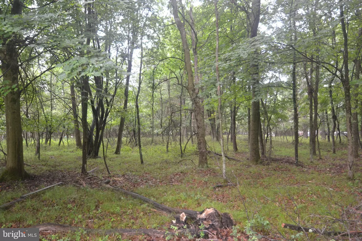 Albrightsville, PA 18210,D1742 OLD STAGE RD