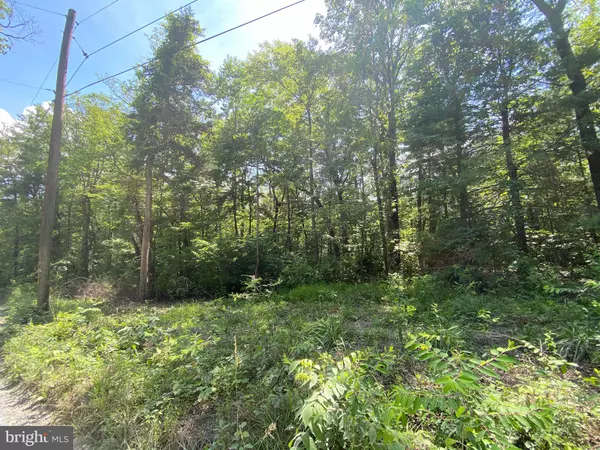 Luray, VA 22835,3AC EGYPT BEND RD