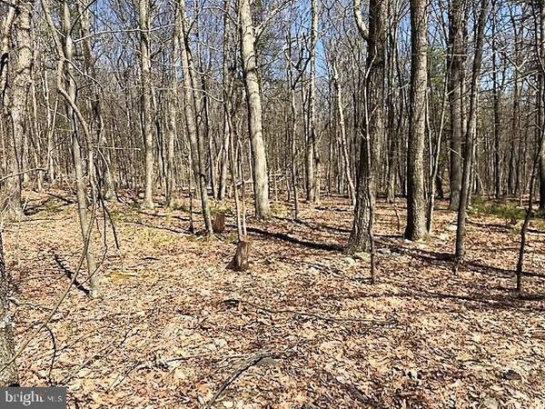 LOT 7 MIDDLE COVE ROAD, Mathias, WV 26812