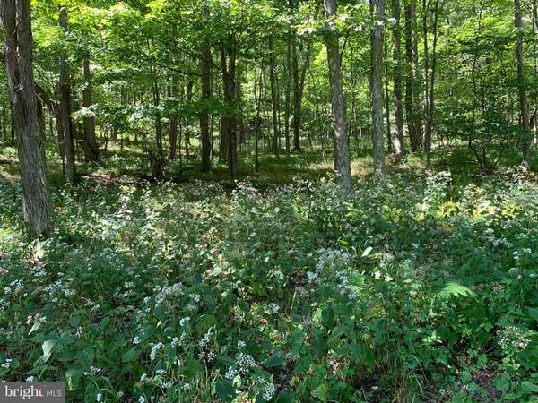 LOT 35 DOLLY SODS RETREAT, Mount Storm, WV 26739