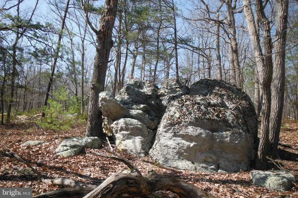 LOT 40 DOLLY SODS RETREAT, Mount Storm, WV 26739