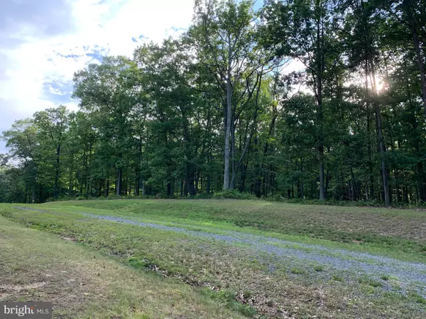 Berkeley Springs, WV 25411,LOT 23 TWIN LAKES DR