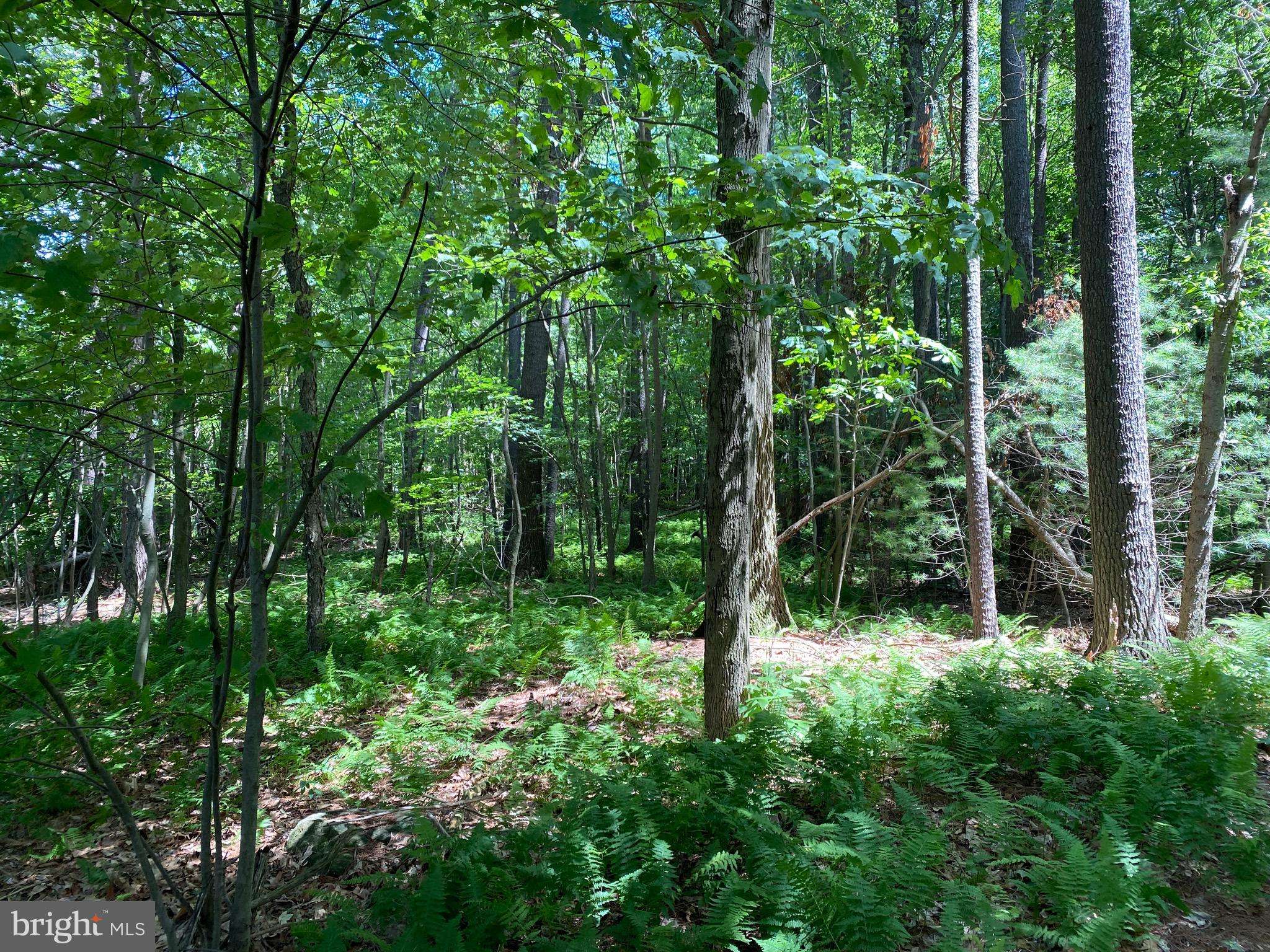Halifax, PA 17032,0 SMALL VALLEY RD