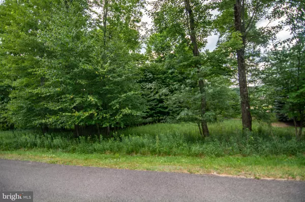 Swanton, MD 21561,STILWATER LOT 45