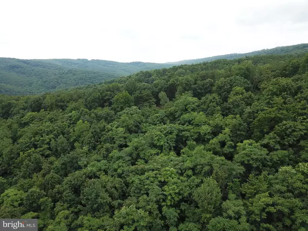 Springfield, WV 26763,LOT 71 BLUFFS RD