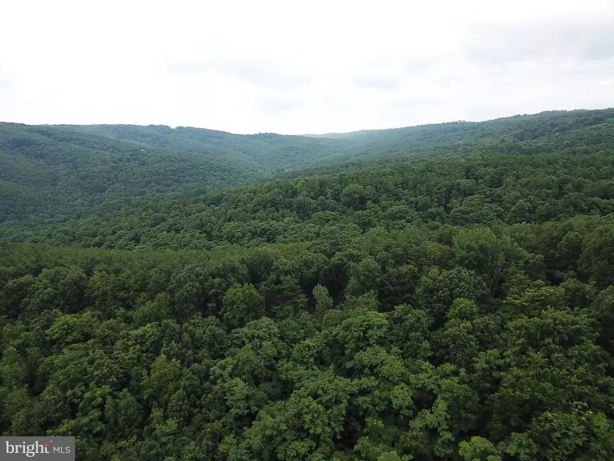 Springfield, WV 26763,LOT 71 BLUFFS RD