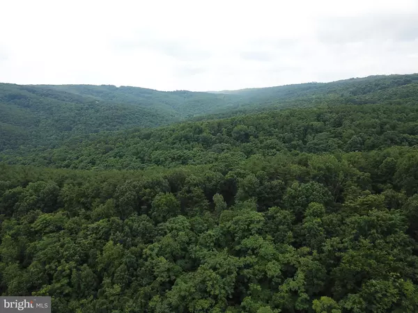 LOT 71 BLUFFS RD, Springfield, WV 26763