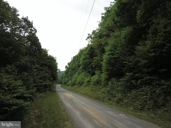 Springfield, WV 26763,LOT 71 BLUFFS RD