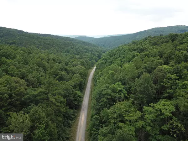 Springfield, WV 26763,LOT 71 BLUFFS RD