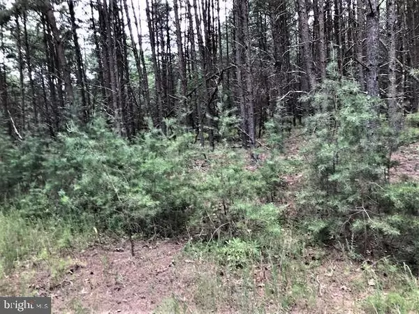 Wardensville, WV 26851,LOT 43 BAKER MOUNTAIN