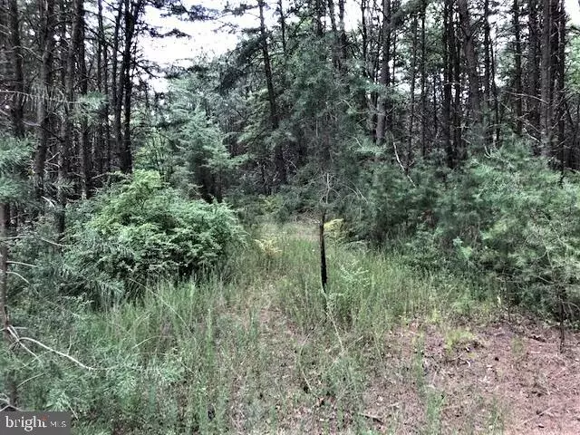 LOT 43 BAKER MOUNTAIN, Wardensville, WV 26851