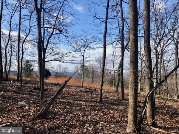 Harpers Ferry, WV 25425,ADELAIDE CIR #LOT 44