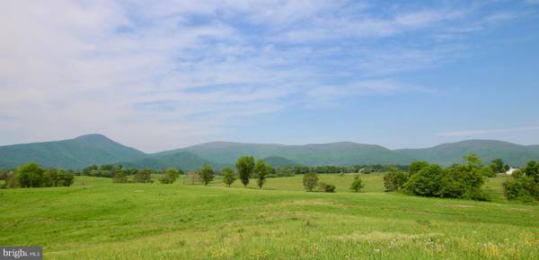 ZACHARY TAYLOR, Flint Hill, VA 22627