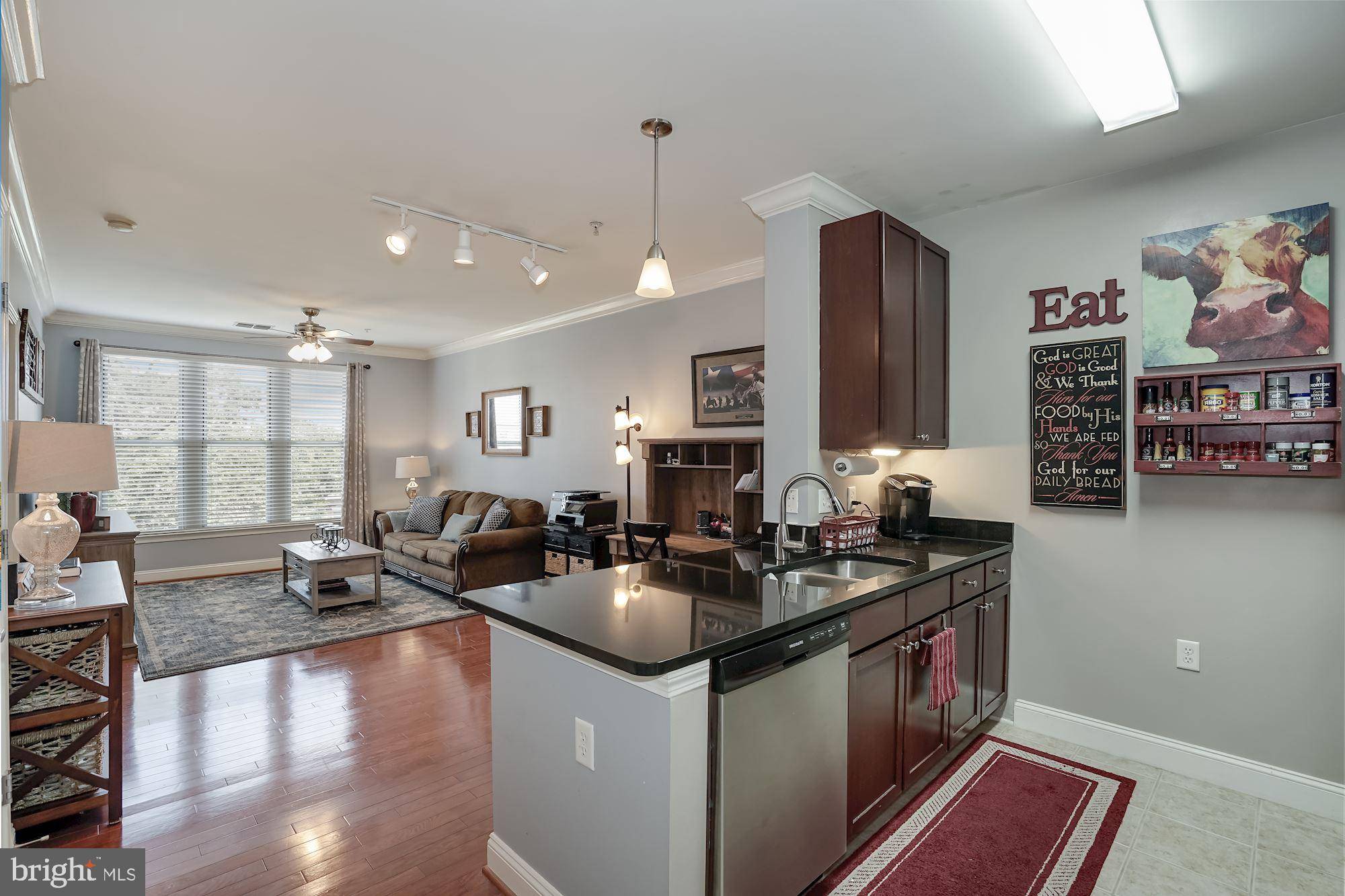 Washington, DC 20003,1391 PENNSYLVANIA AVE SE #439