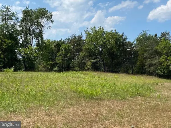 Culpeper, VA 22701,LOT F-1 STONEHOUSE MOUNTAIN RD