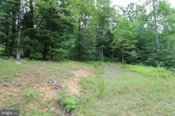 Wardensville, WV 26851,LOT 12 BROOKE TROUT DR