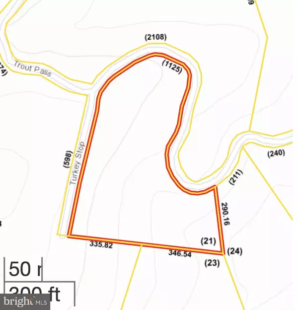 Mathias, WV 26812,LOT 21 TROUT PASS