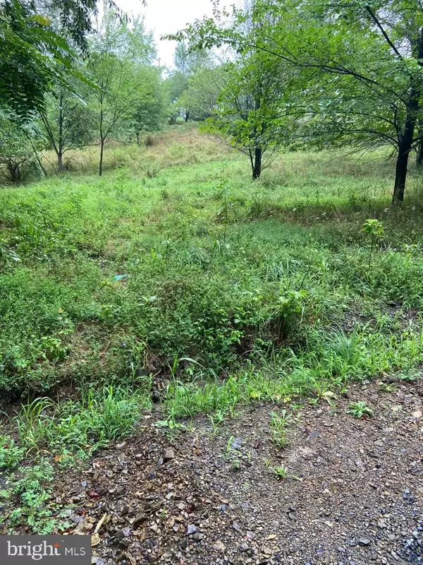 N LAUREL AVE #LOT 47, Berkeley Springs, WV 25411