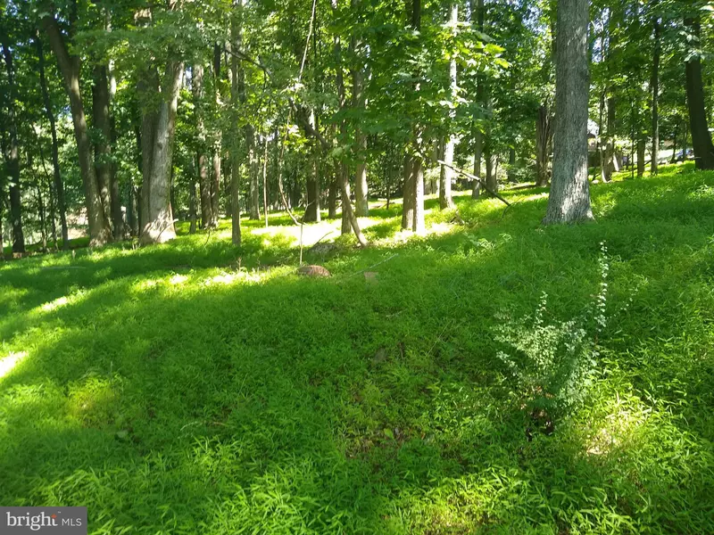 LOT 62N ROCKY KNOB, Front Royal, VA 22630