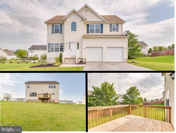 139 HUTTONS VIREO, Martinsburg, WV 25405