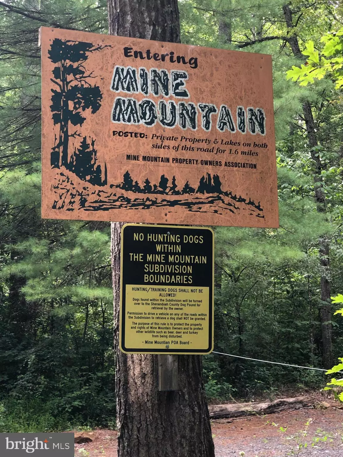 Fort Valley, VA 22652,MINE MOUNTAIN