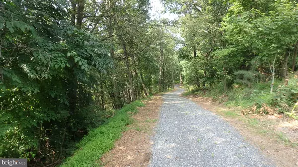 Moorefield, WV 26836,LOT 258 NATHANIEL MOUNTAIN RD