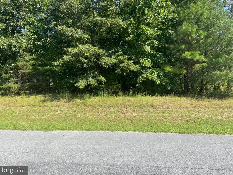 Georgetown, DE 19947,FORSYTHIA DR