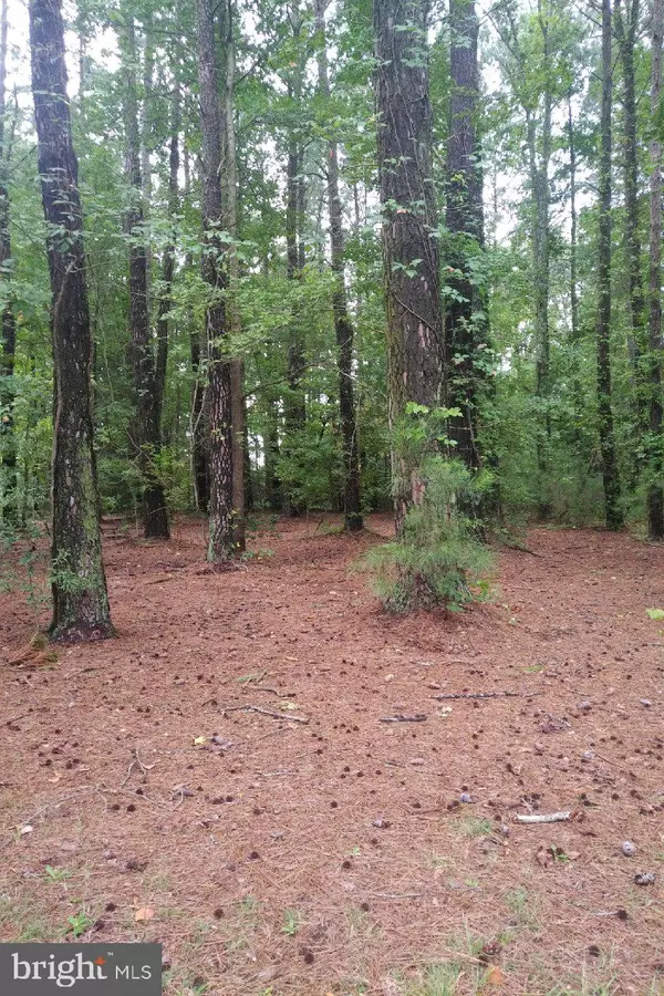 LOT 280 NORTH GLEBE RD, Montross, VA 22520